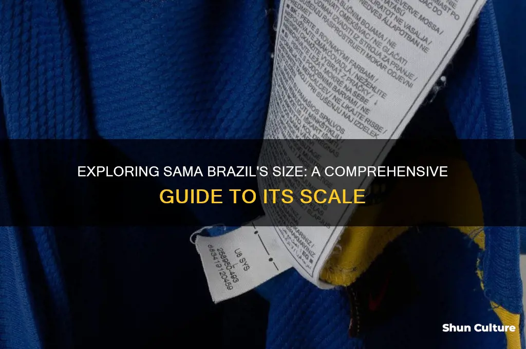 how big is sama brazil