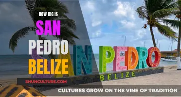 Exploring San Pedro, Belize: Size and Scope