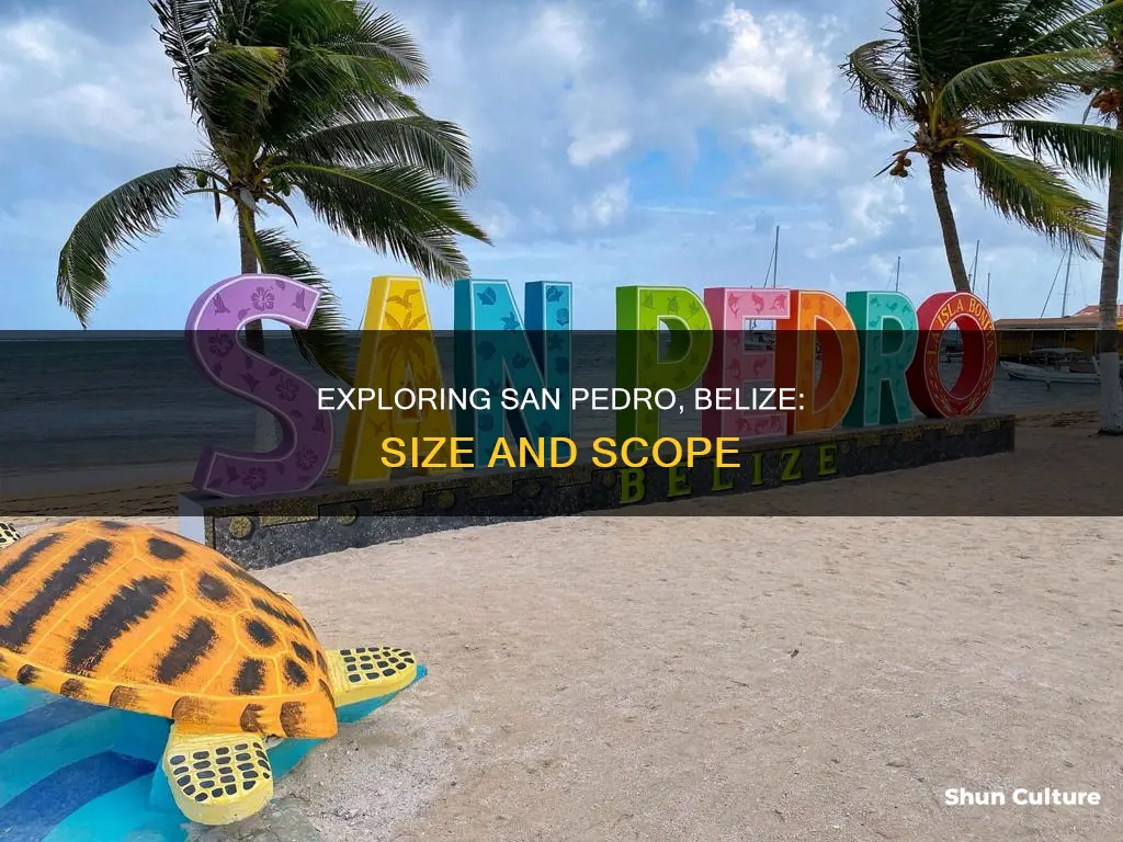 how big is san pedro belize