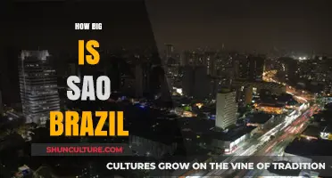 Exploring the Vast Size of São Paulo, Brazil: A Comprehensive Guide