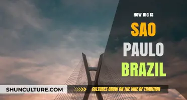 Exploring São Paulo's Size: Brazil's Largest City Unveiled