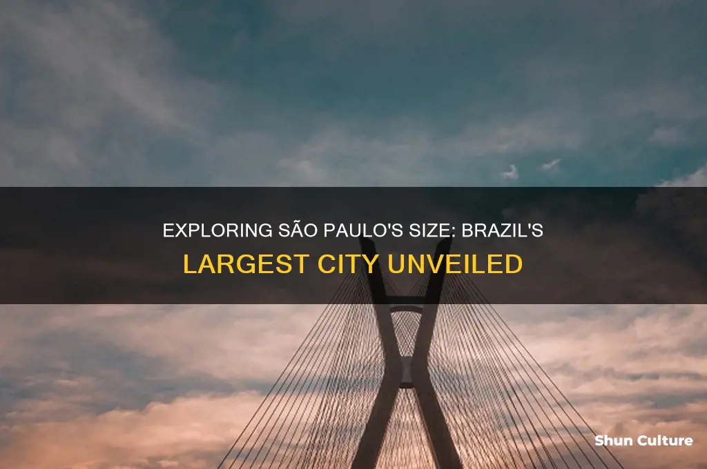 how big is sao paulo brazil