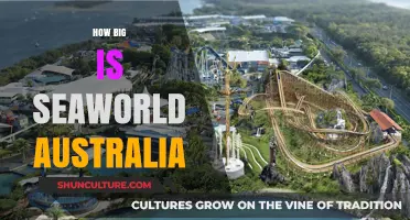 Sea World Australia: A Massive Marine Adventure