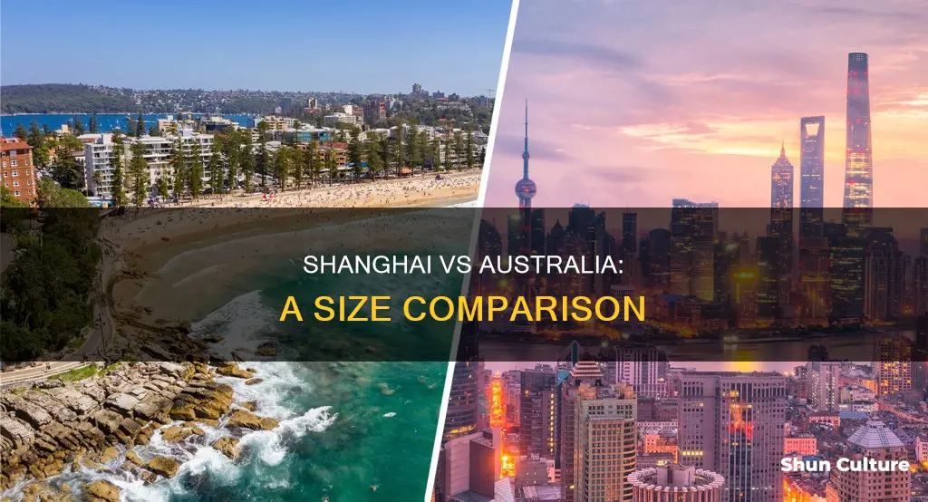 how big is shanghai compared to australia