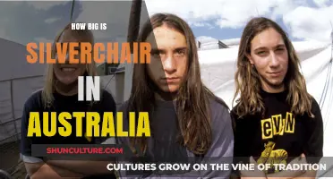 Silverchair's Australian Legacy: Cultural Icon or Forgotten Hero?