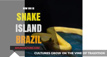 Exploring Snake Island Brazil: Size, Secrets, and Serpent Legends