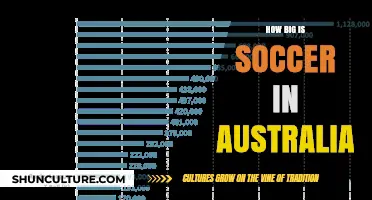 The Passion for Soccer in Australia