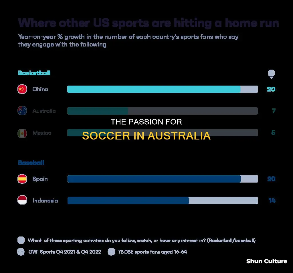 how big is soccer in australia
