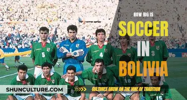 The Passion for Soccer in Bolivia