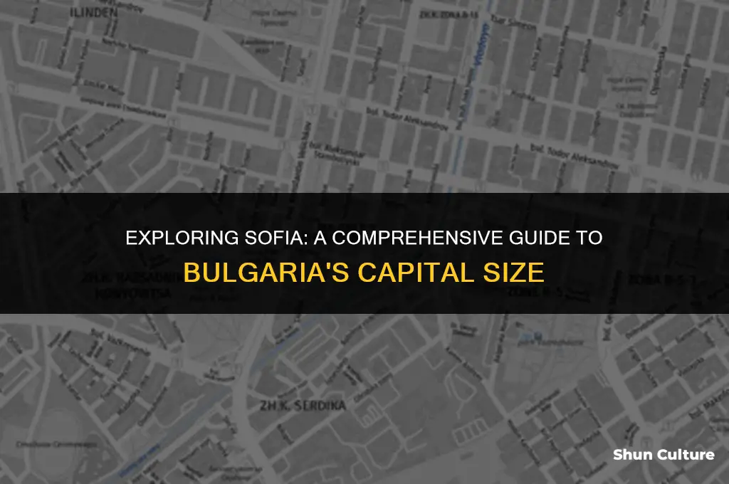 how big is sofia bulgaria