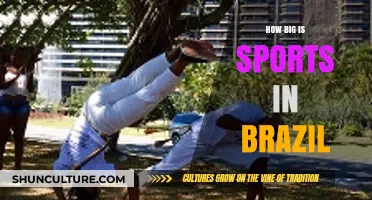 Brazil's Sports Passion: A Cultural Phenomenon and Global Influence