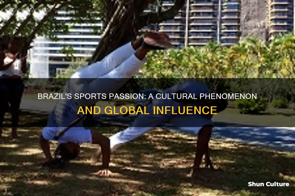 how big is sports in brazil