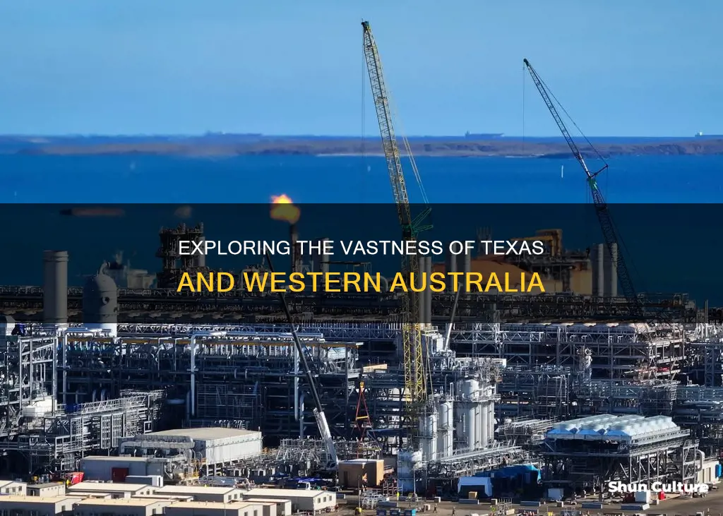 how big is texas compared to western australia