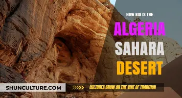 Exploring the Vastness of Algeria's Sahara Desert: Size and Scale