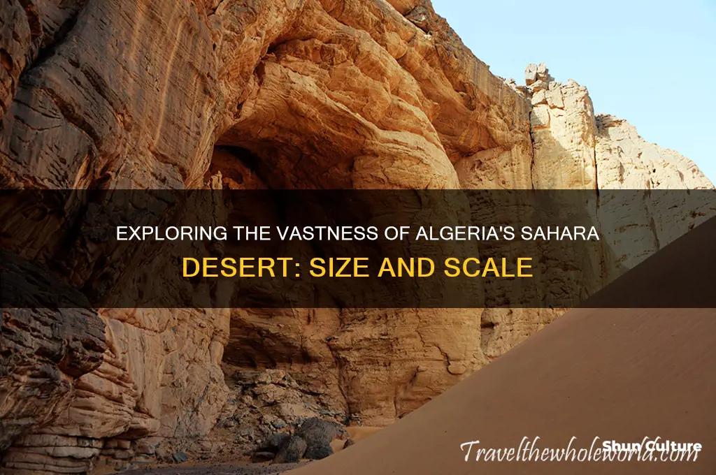 how big is the algeria sahara desert