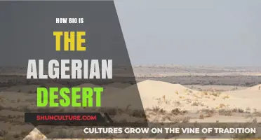 Exploring the Vast Expanse: The Size of Algeria's Desert