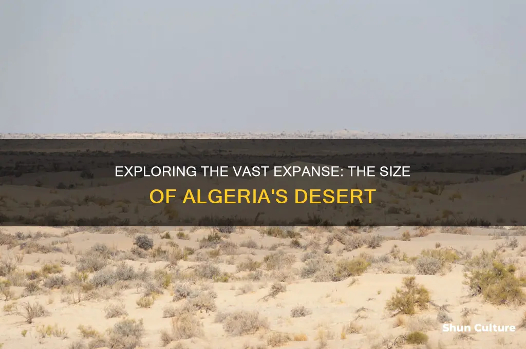 how big is the algerian desert