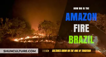 Amazon Fire Brazil: Uncovering the Devastating Scale of the Blaze