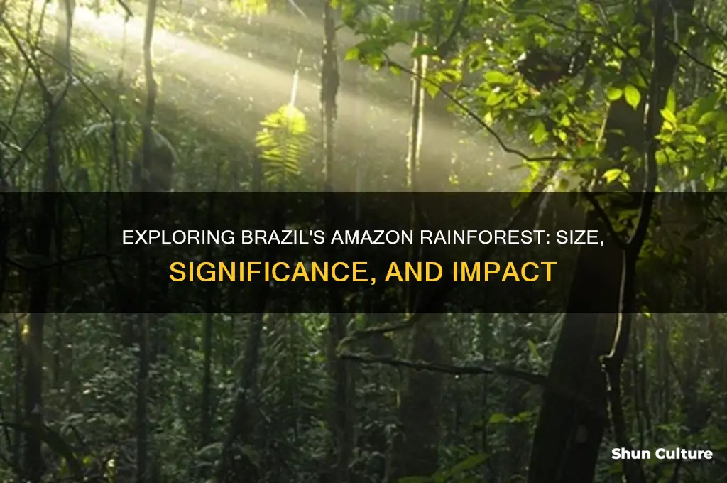how big is the amazon rainforest part of brazil