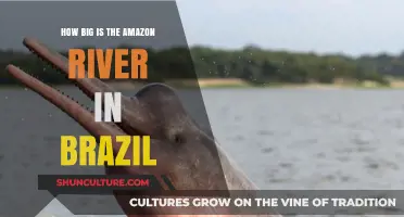 Exploring the Amazon River's Massive Size in Brazil