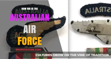 Air Power Down Under: Australia's Air Force Size and Strength