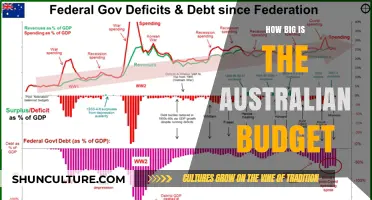 Australia's Budget: A Massive Spending Spree