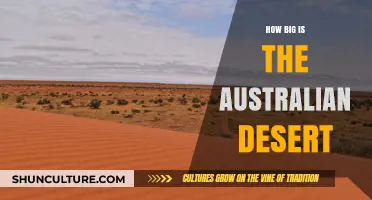 Exploring Australia's Vast Desert Regions