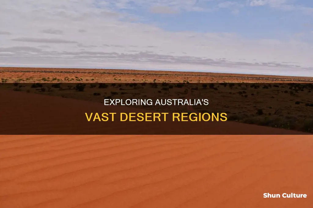 how big is the australian desert