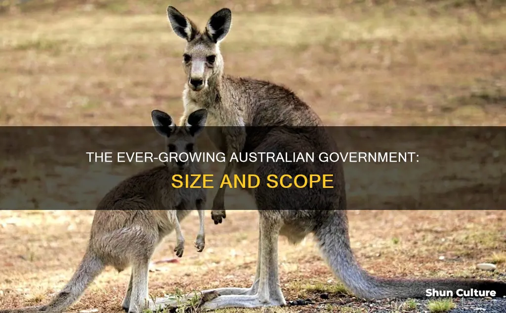 how big is the australian government