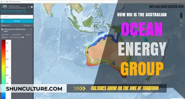 Australian Ocean Energy Group: Size and Scope Overview