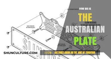 The Australian Plate: A Giant's True Size