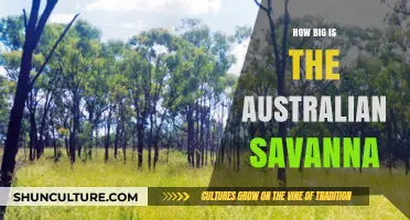 The Australian Savanna: A Vast and Diverse Landscape