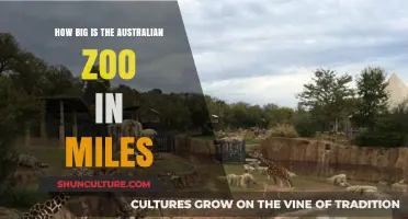 Exploring the Vast Australian Zoo: Miles of Adventure