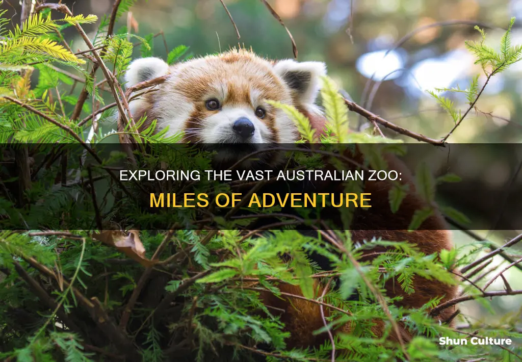 how big is the australian zoo in miles