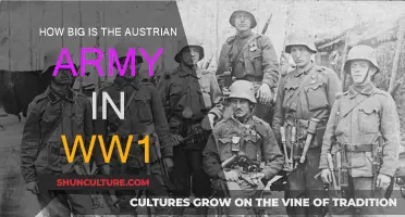 Austria's Military Might in WWI: Numbers and Strength