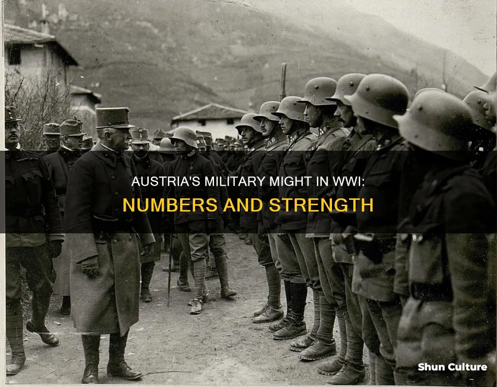 how big is the austrian army in ww1