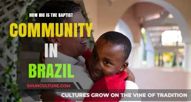 Exploring Brazil's Baptist Community: Size, Growth, and Influence