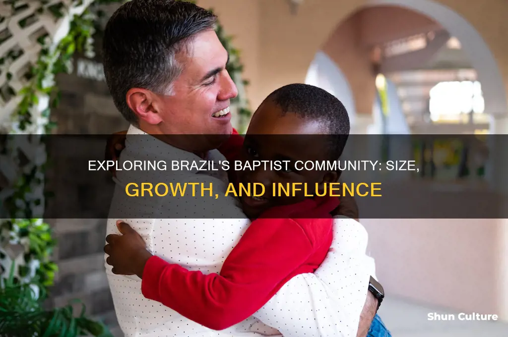 how big is the baptist community in brazil