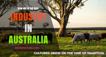 The Beef Industry in Australia: A Giant Down Under
