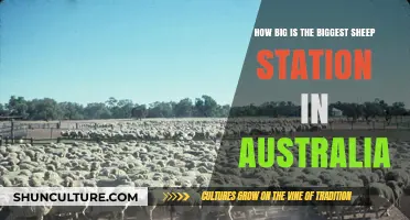 Massive Australian Sheep Stations: Exploring Their Vastness