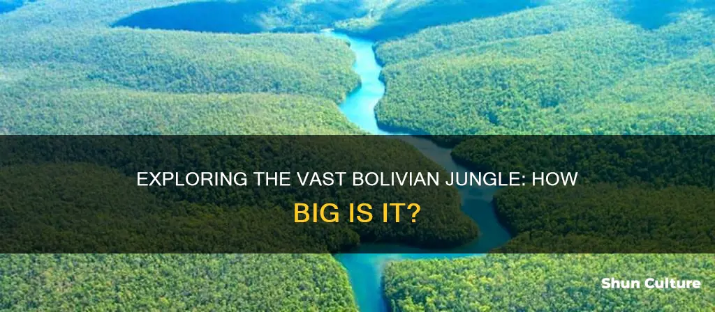 how big is the bolivian jungle