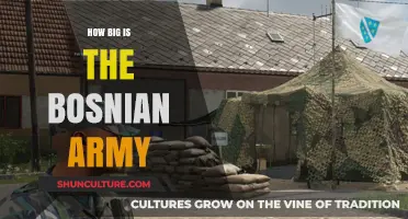 Exploring the Size and Strength of Bosnia's Armed Forces