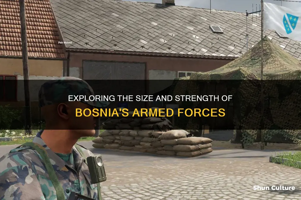 how big is the bosnian army