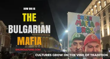 Unveiling the Bulgarian Mafia: A Deep Dive into Organized Crime