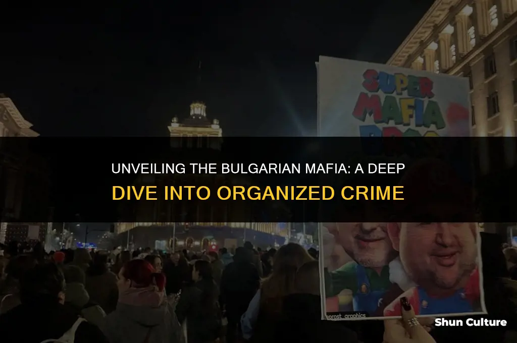 how big is the bulgarian mafia