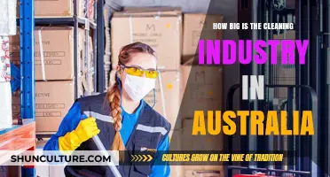 Cleaning Industry in Australia: A Billion-Dollar Overview
