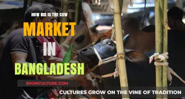 Exploring Bangladesh's Thriving Cow Market: Size, Impact, and Opportunities