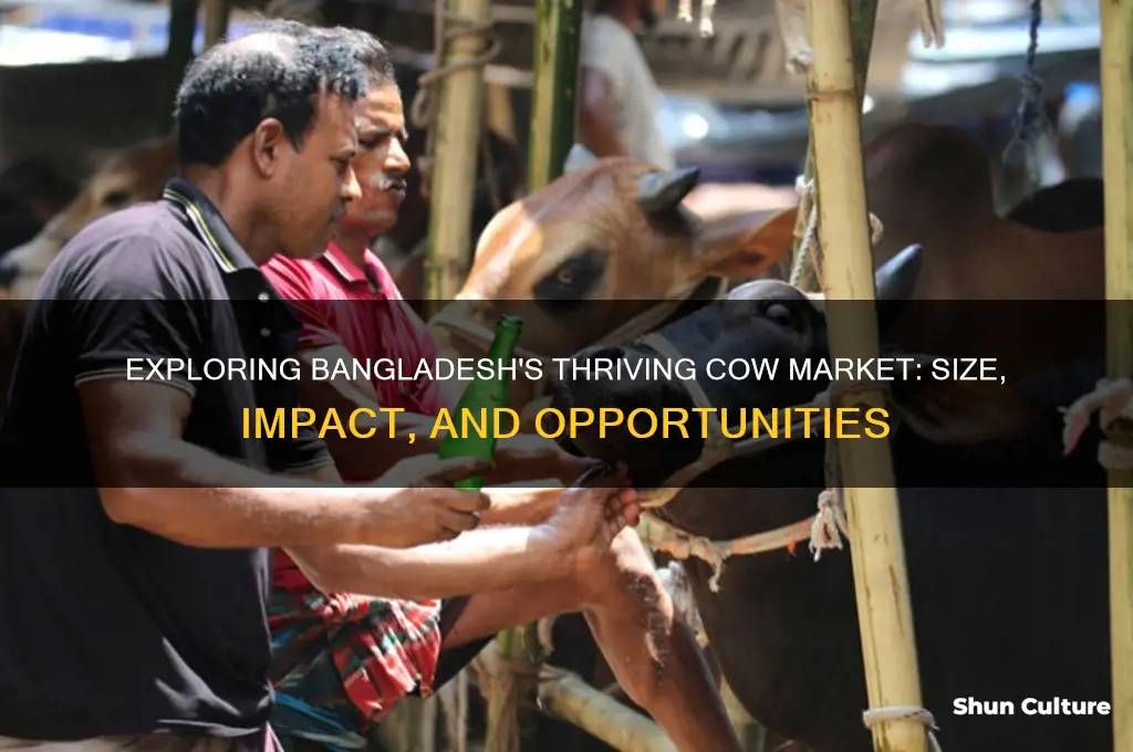 how big is the cow market in bangladesh