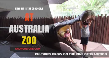 Australia Zoo's Crocodile Enclosure: How Big?