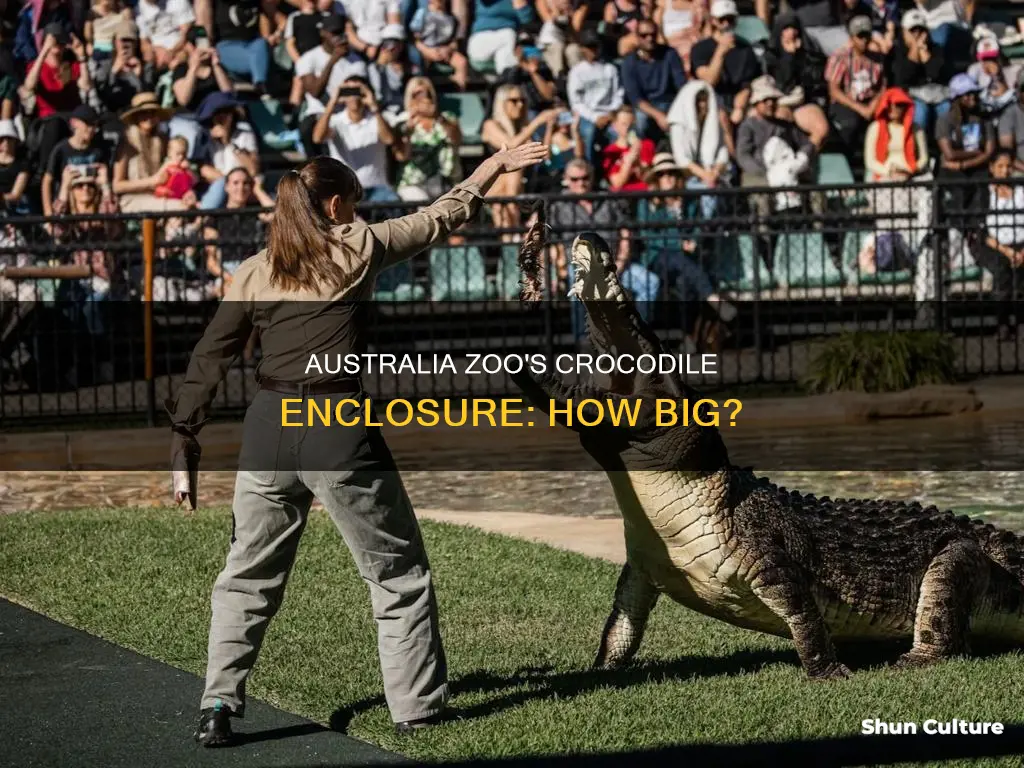 how big is the crocodile at australia zoo